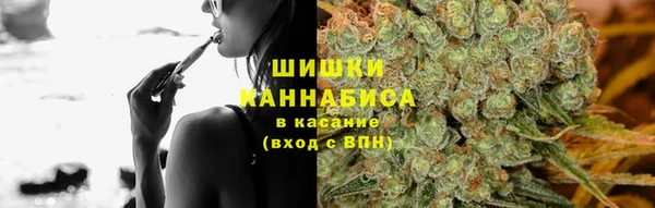 шишки Алзамай