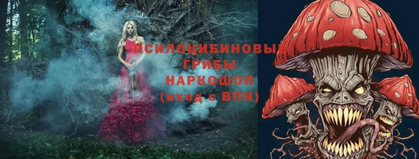 прущие грибы Алексин