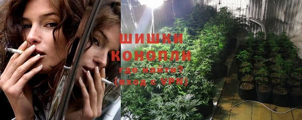 шишки Алзамай