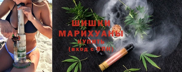 шишки Алзамай