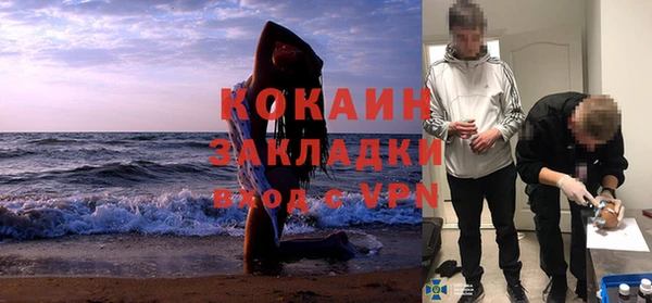шишки Алзамай