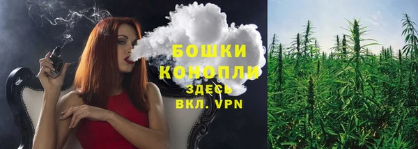 шишки Алзамай