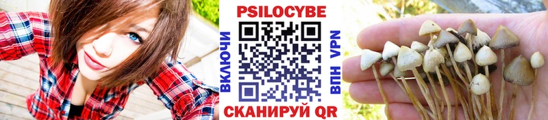 Галлюциногенные грибы Cubensis  Баймак 